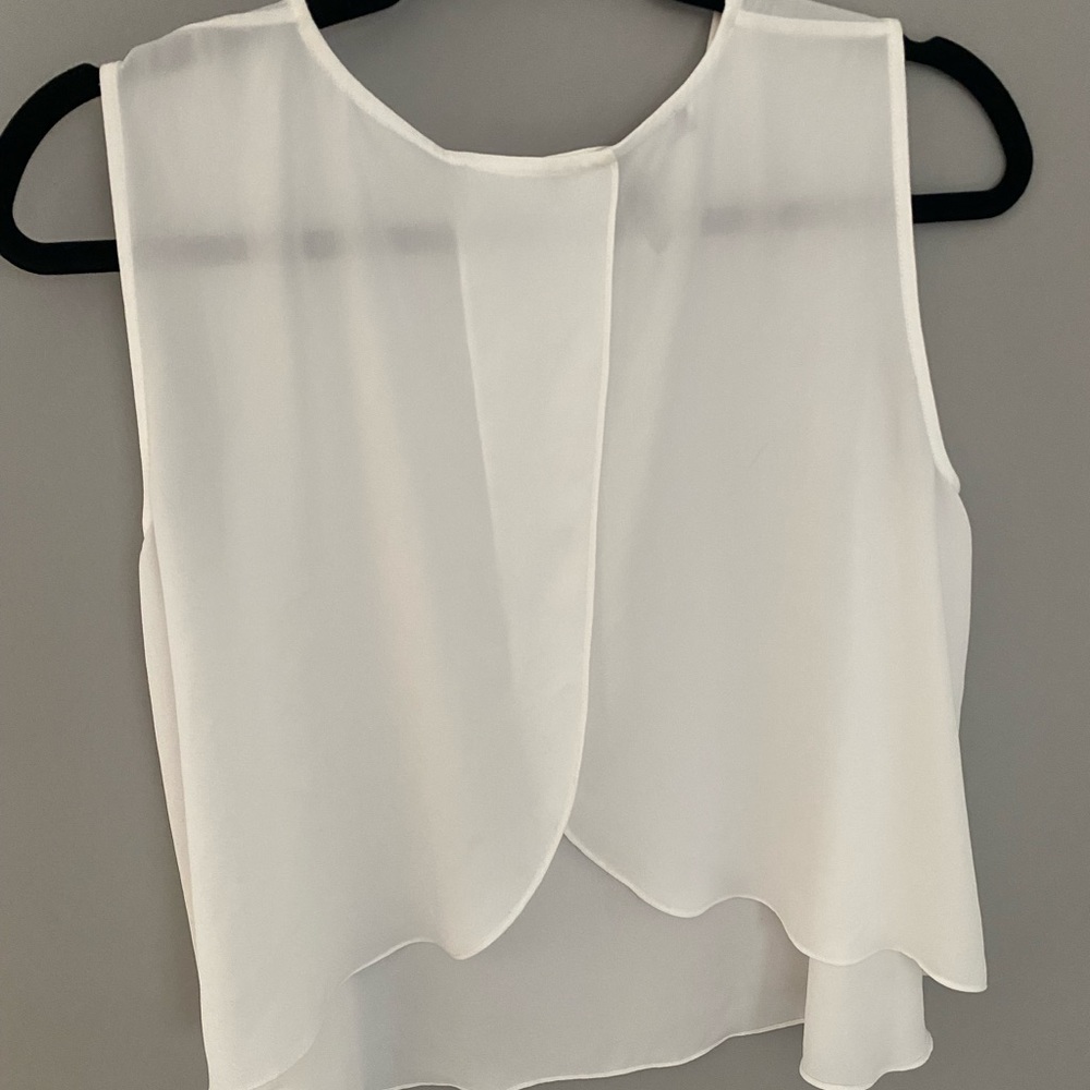 BCBGMaxAzria sheer white, open back tank top. Gently worn / size small - Picture 5 of 6